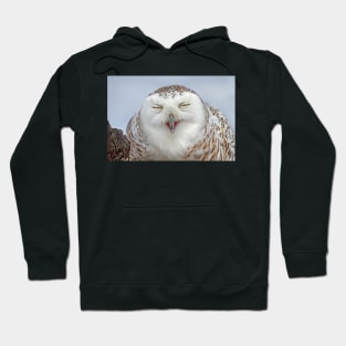 Smiling Snowy Owl Hoodie